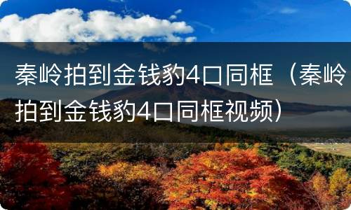 秦岭拍到金钱豹4口同框（秦岭拍到金钱豹4口同框视频）