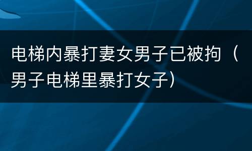 电梯内暴打妻女男子已被拘（男子电梯里暴打女子）
