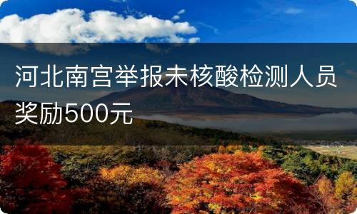 河北南宫举报未核酸检测人员奖励500元