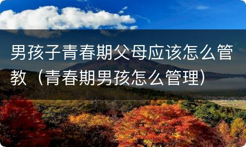 男孩子青春期父母应该怎么管教（青春期男孩怎么管理）