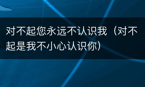 对不起您永远不认识我（对不起是我不小心认识你）