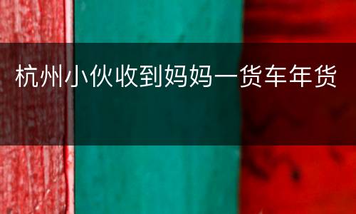 杭州小伙收到妈妈一货车年货