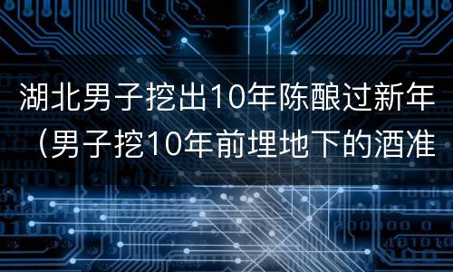 湖北男子挖出10年陈酿过新年（男子挖10年前埋地下的酒准备过年 挖掘）