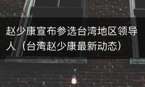 赵少康宣布参选台湾地区领导人（台湾赵少康最新动态）