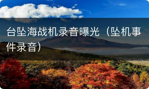 台坠海战机录音曝光（坠机事件录音）