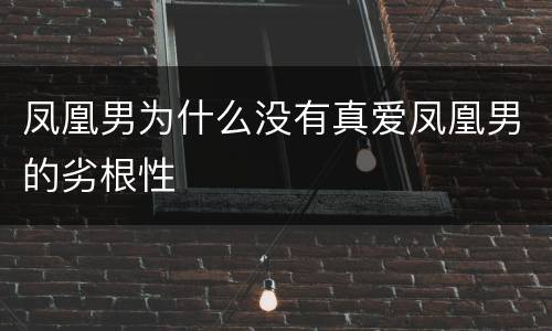 凤凰男为什么没有真爱凤凰男的劣根性