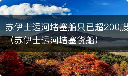 苏伊士运河堵塞船只已超200艘（苏伊士运河堵塞货船）