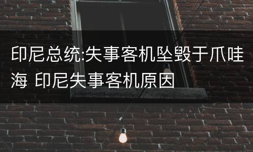 印尼总统:失事客机坠毁于爪哇海 印尼失事客机原因