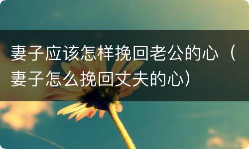 妻子应该怎样挽回老公的心（妻子怎么挽回丈夫的心）
