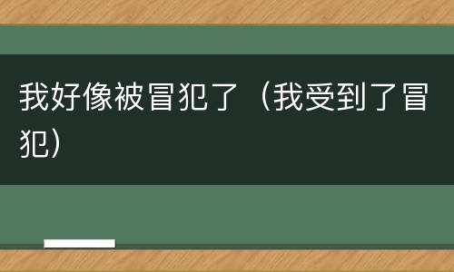 我好像被冒犯了（我受到了冒犯）