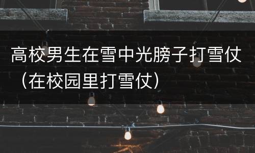 高校男生在雪中光膀子打雪仗（在校园里打雪仗）