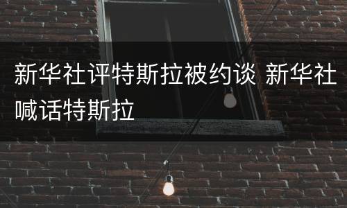 新华社评特斯拉被约谈 新华社喊话特斯拉