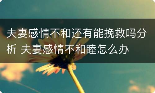 夫妻感情不和还有能挽救吗分析 夫妻感情不和睦怎么办