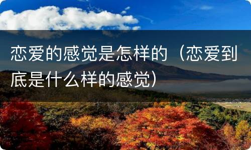 恋爱的感觉是怎样的（恋爱到底是什么样的感觉）