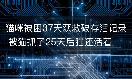 猫咪被困37天获救破存活记录 被猫抓了25天后猫还活着