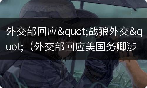 外交部回应"战狼外交"（外交部回应美国务卿涉世卫大会言论）