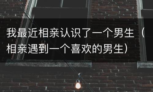 我最近相亲认识了一个男生（相亲遇到一个喜欢的男生）