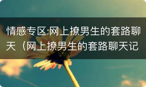 情感专区:网上撩男生的套路聊天（网上撩男生的套路聊天记录）