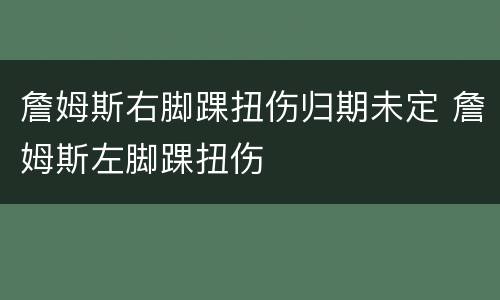 詹姆斯右脚踝扭伤归期未定 詹姆斯左脚踝扭伤