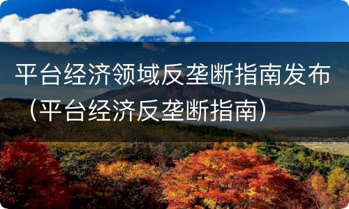平台经济领域反垄断指南发布（平台经济反垄断指南）