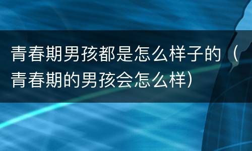 青春期男孩都是怎么样子的（青春期的男孩会怎么样）