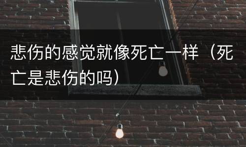 悲伤的感觉就像死亡一样（死亡是悲伤的吗）