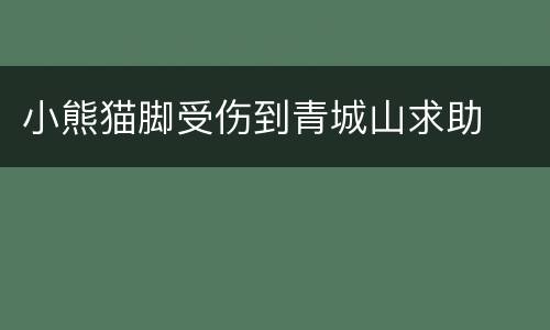小熊猫脚受伤到青城山求助