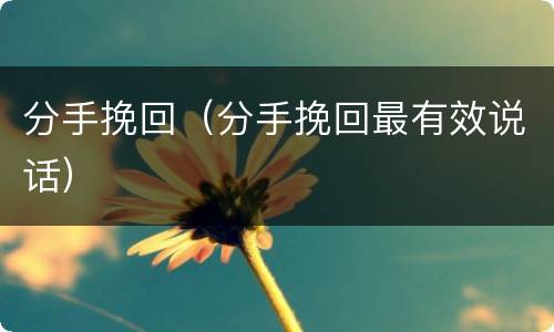 分手挽回（分手挽回最有效说话）