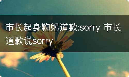 市长起身鞠躬道歉:sorry 市长道歉说sorry