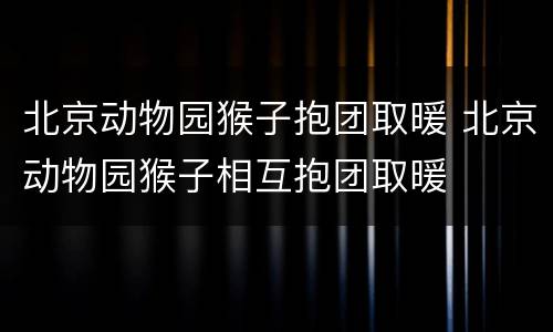 北京动物园猴子抱团取暖 北京动物园猴子相互抱团取暖
