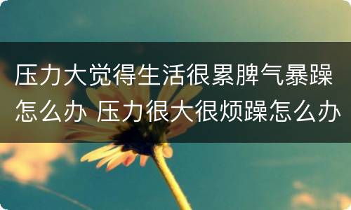 压力大觉得生活很累脾气暴躁怎么办 压力很大很烦躁怎么办