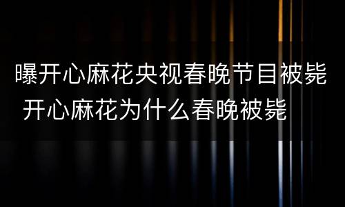 曝开心麻花央视春晚节目被毙 开心麻花为什么春晚被毙