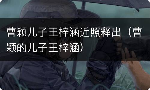 曹颖儿子王梓涵近照释出（曹颖的儿子王梓涵）