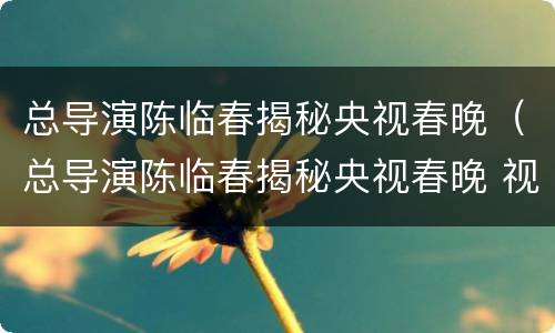 总导演陈临春揭秘央视春晚（总导演陈临春揭秘央视春晚 视频）
