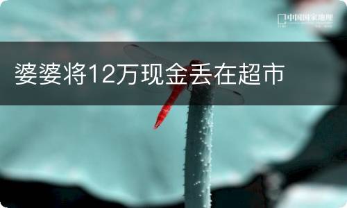 婆婆将12万现金丢在超市
