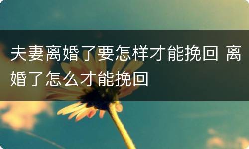 夫妻离婚了要怎样才能挽回 离婚了怎么才能挽回