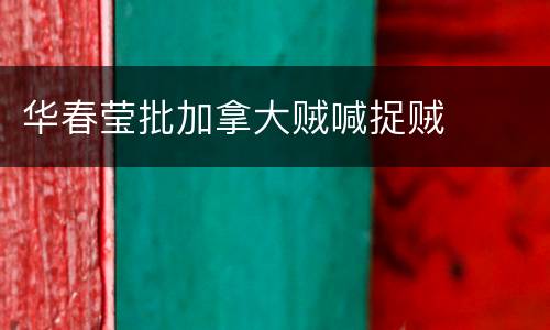 华春莹批加拿大贼喊捉贼