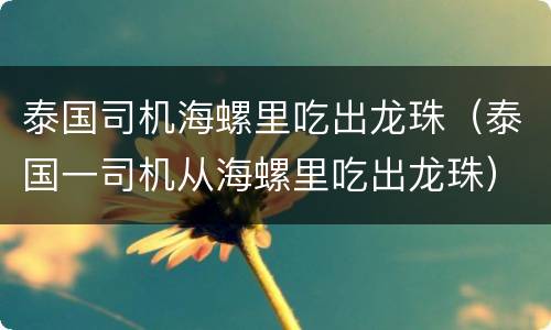 泰国司机海螺里吃出龙珠（泰国一司机从海螺里吃出龙珠）