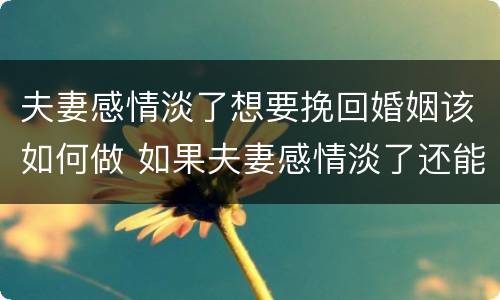 夫妻感情淡了想要挽回婚姻该如何做 如果夫妻感情淡了还能再好吗