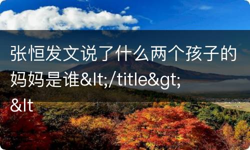 张恒发文说了什么两个孩子的妈妈是谁</title>
<meta