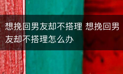 想挽回男友却不搭理 想挽回男友却不搭理怎么办