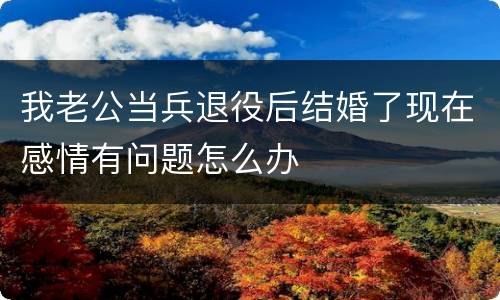 我老公当兵退役后结婚了现在感情有问题怎么办