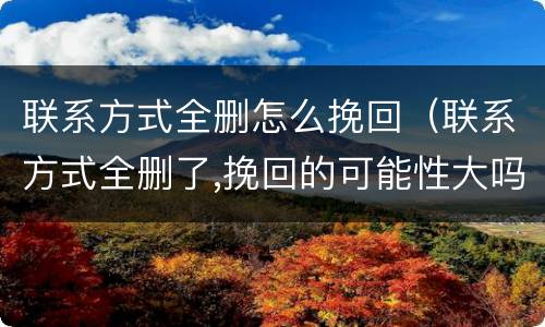 联系方式全删怎么挽回（联系方式全删了,挽回的可能性大吗）