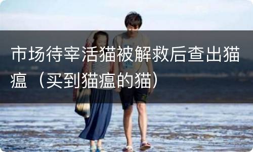 市场待宰活猫被解救后查出猫瘟（买到猫瘟的猫）