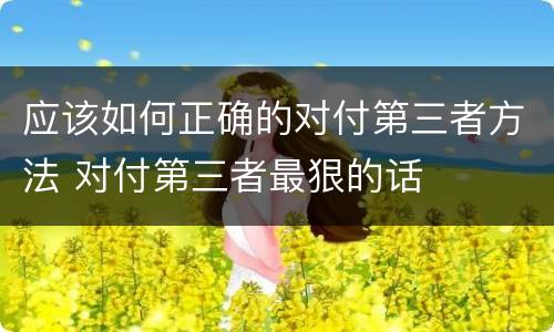 应该如何正确的对付第三者方法 对付第三者最狠的话