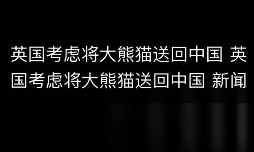 英国考虑将大熊猫送回中国 英国考虑将大熊猫送回中国 新闻