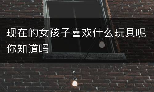 现在的女孩子喜欢什么玩具呢你知道吗