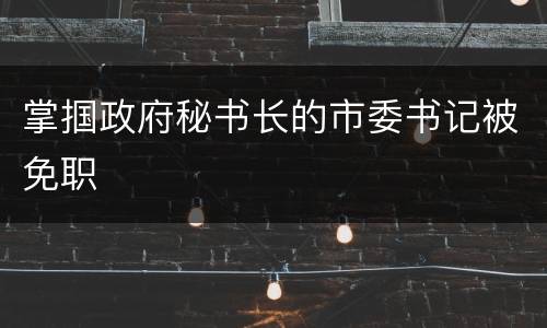 掌掴政府秘书长的市委书记被免职