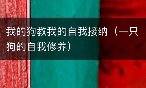 我的狗教我的自我接纳（一只狗的自我修养）