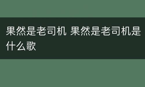 果然是老司机 果然是老司机是什么歌
